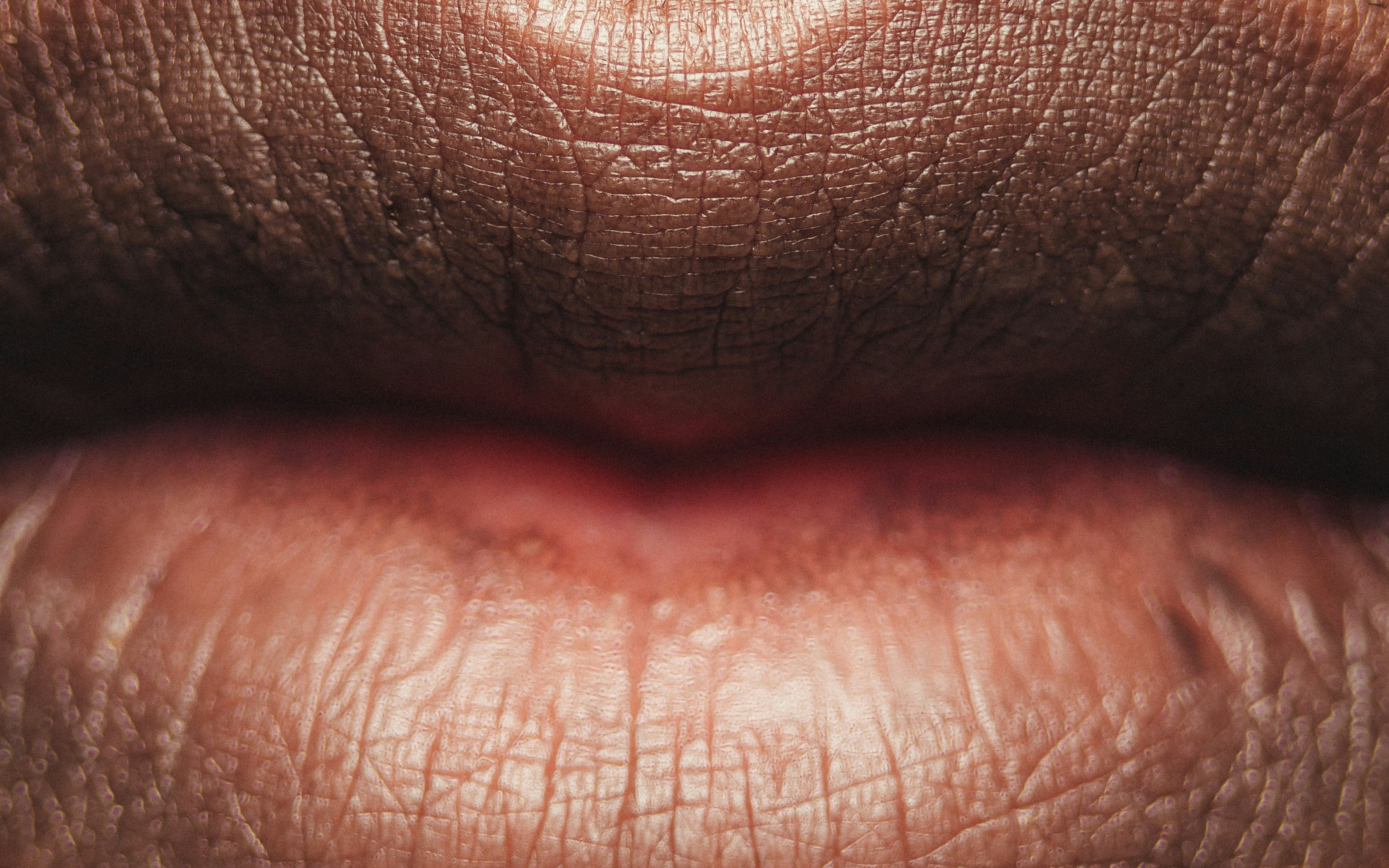 Will Lip Balm Help Chapped Lips? The Truth Revealed